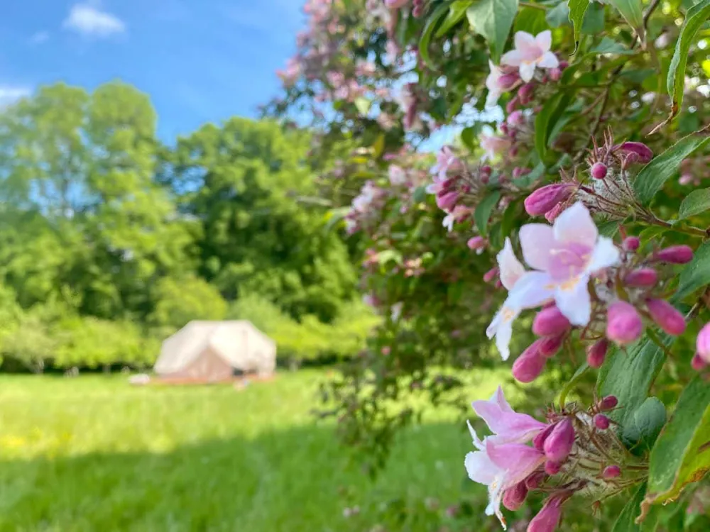 Green Glamping